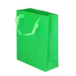 Kartonnen Cadeautas M Groen (12st)