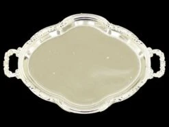 Mini Dienbladen Ovaal Zilver (12st)