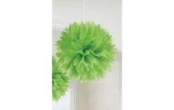 Pompom 30cm Groen