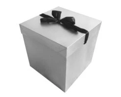 Cadeaudoos Zilver + Zwarte Strik 22cm