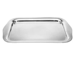 Dienblad RVS (46x30cm)