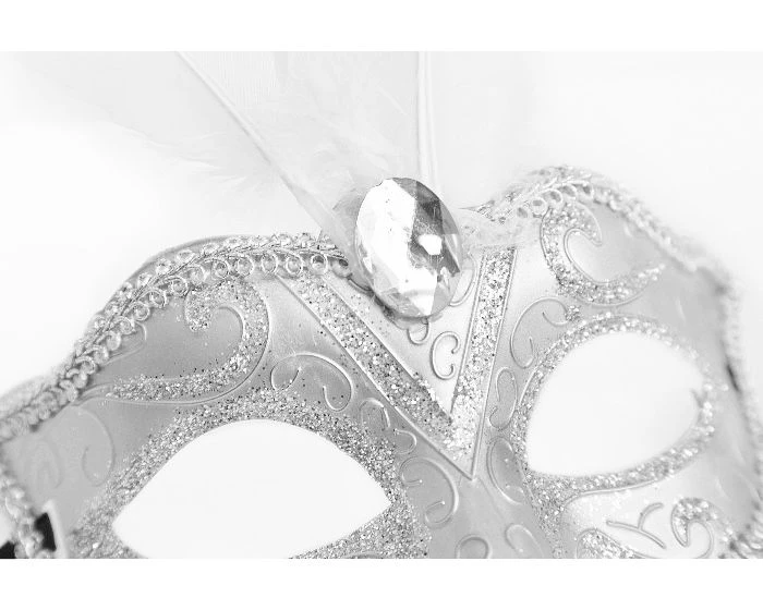 Masker Veren Zilver - Afbeelding 2