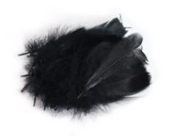 Decoratie Veren Zwart (±50st)