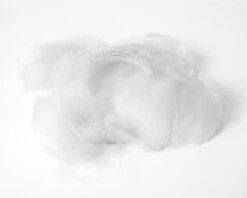 Decoratie Veren Wit (±50st)