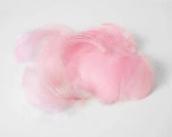 Decoratie Veren Roze (±50st)