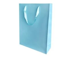 Kartonnen Cadeautas L Lichtblauw (12st)