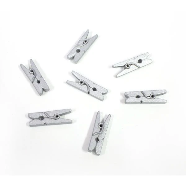 Houten Mini Knijpertjes Zilver (24st)