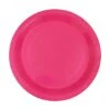 Kartonnen Bordjes Fuchsia 18cm (20st)