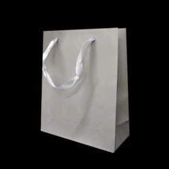 Kartonnen Cadeautas M Grijs (12st)