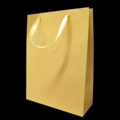 Kartonnen Cadeautas L Goud (12st)