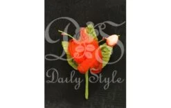 Corsage 'Natural' Rood (12st)