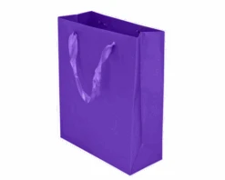 Kartonnen Cadeautas M Paars (12st)