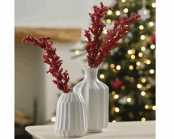 Rode Bessen Takken Ginger Ray (5st)